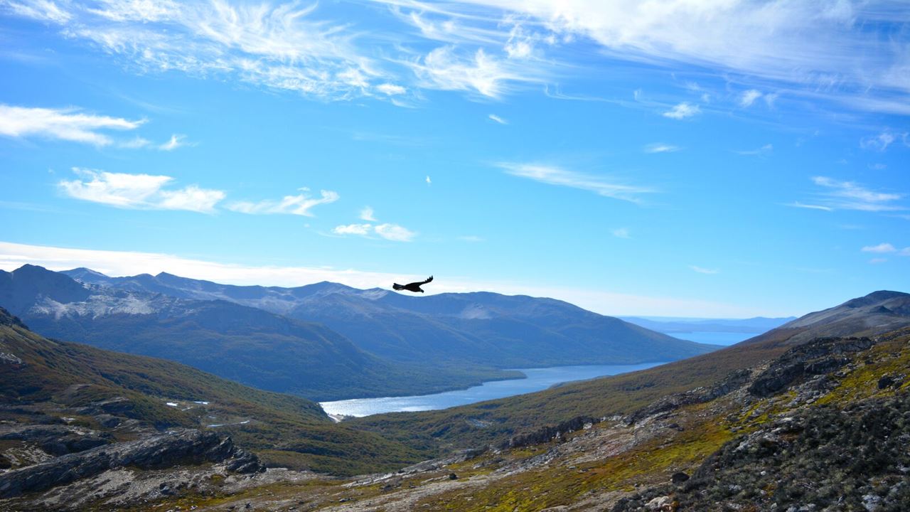 Andes Fueguinos: Travessia de Trekking com Lagos foto 10