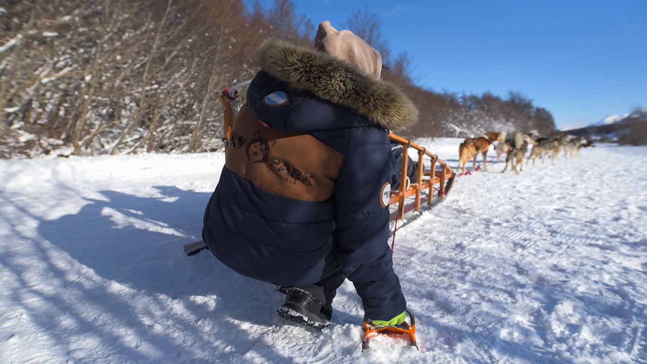 White Adventure with Huskies in Tierra Mayor Valley foto 8