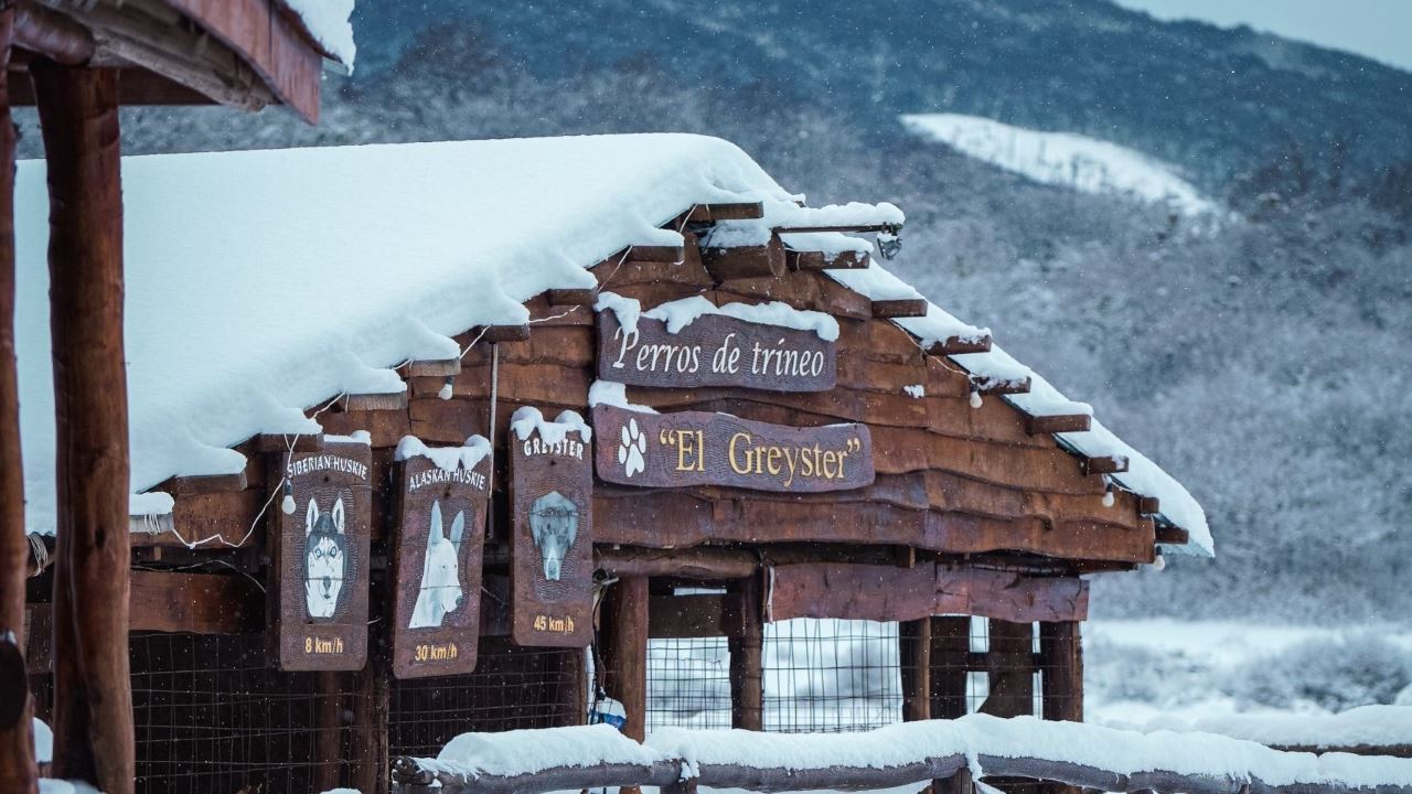 Aventura De Inverno De Dia Inteiro Com Trekking E Utv foto 9