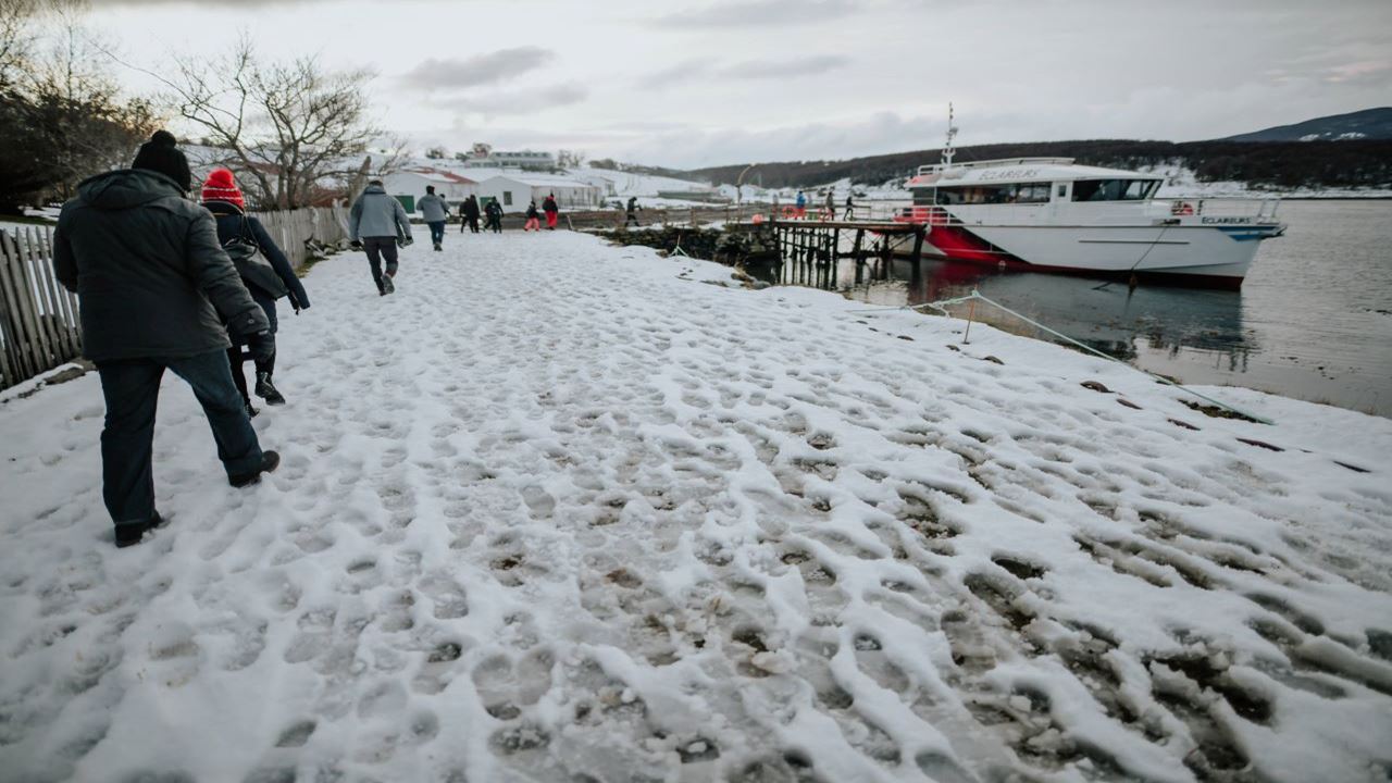 Penguin Watching at Isla Martillo foto 12