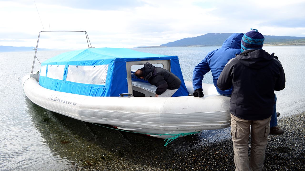 Penguin Watching at Isla Martillo foto 5