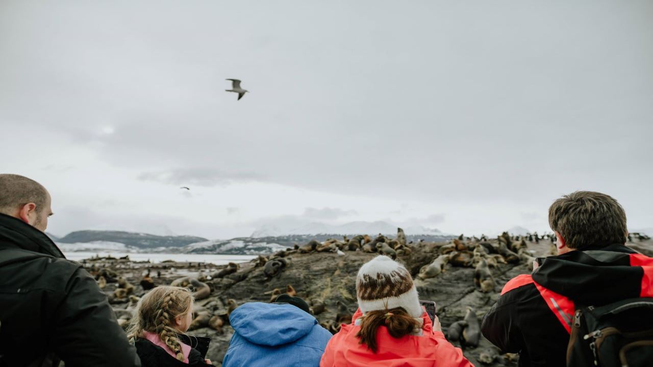 Penguin Watching at Isla Martillo foto 8