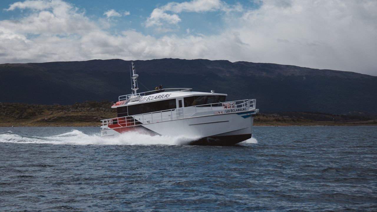 Penguin Watching at Isla Martillo foto 7