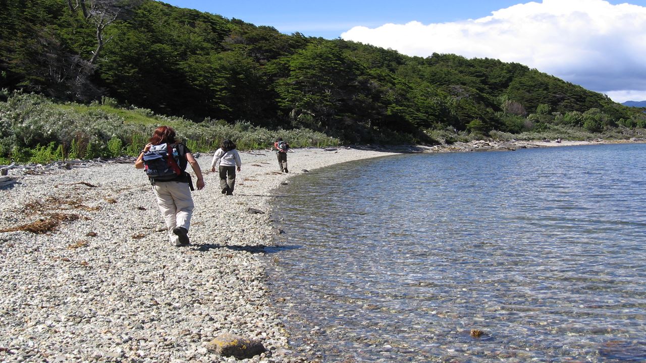 Bahía Lapataia y Lago Acigami con Opción de Tren al Fin del Mundo foto 2