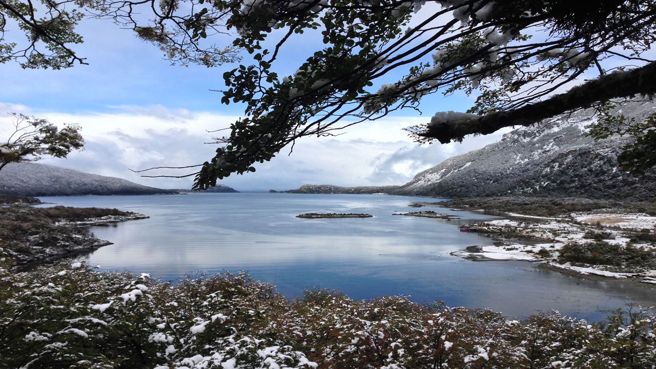 Baías e Lagos do Parque Nacional Tierra del Fuego com Almoço foto 1