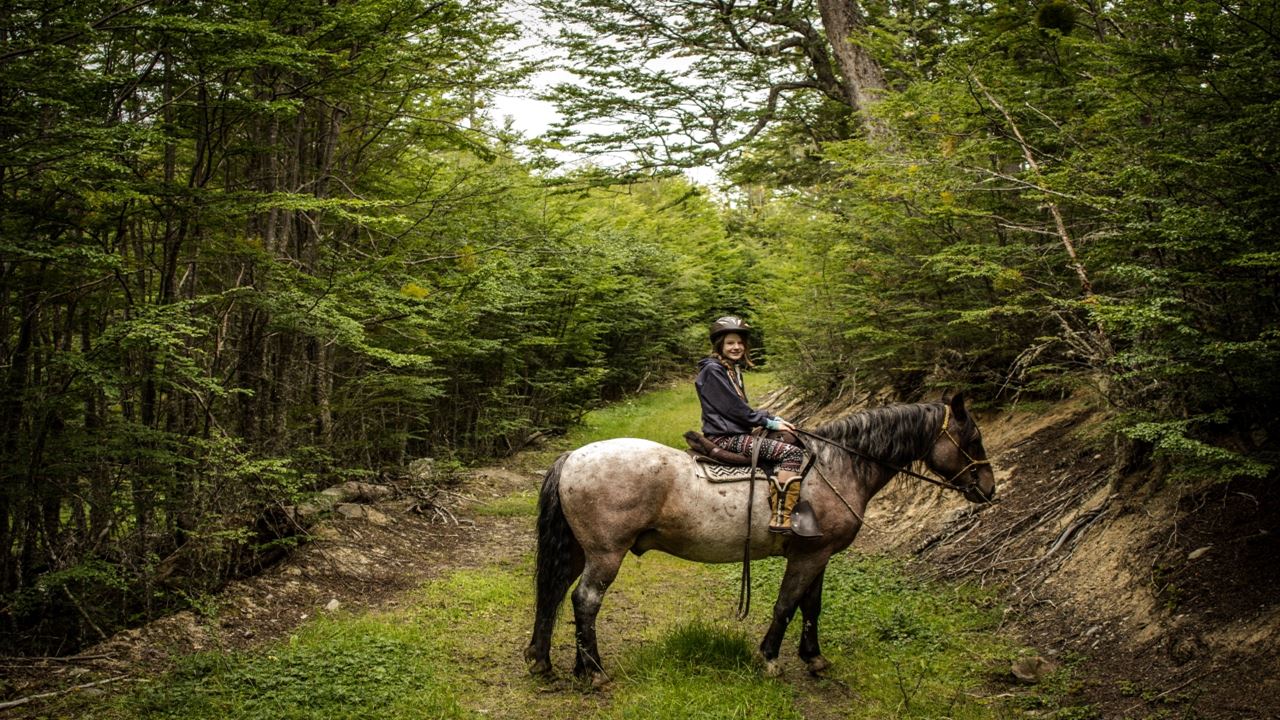 Horse Ride Through Lake Hidden (1)