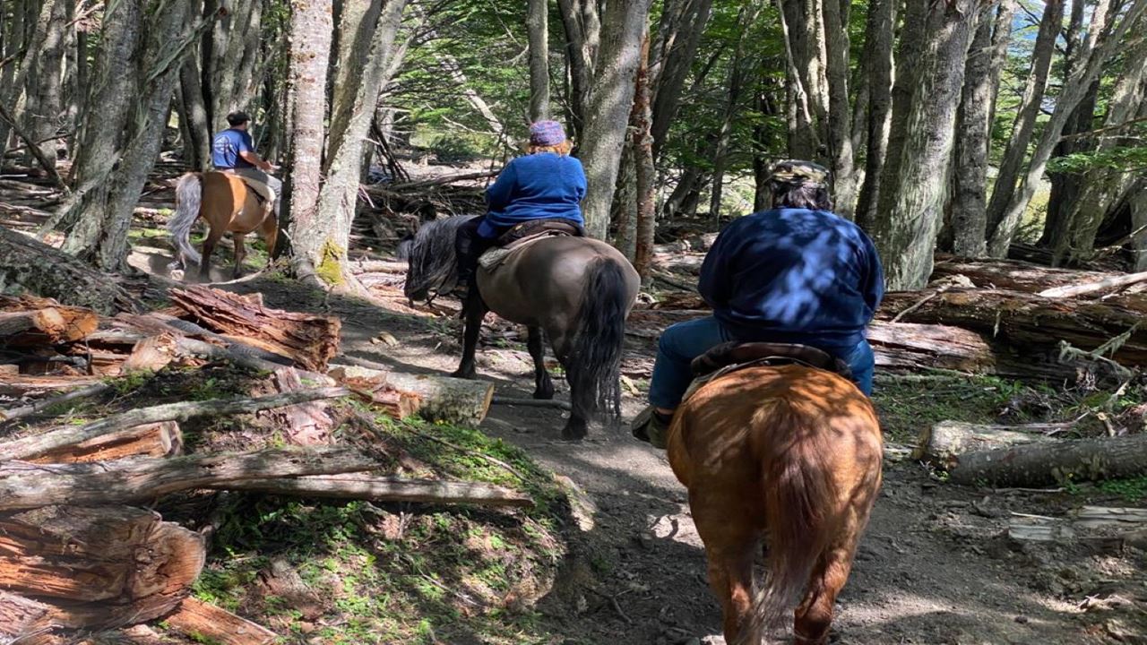 Horse Ride Through Lake Hidden (8)