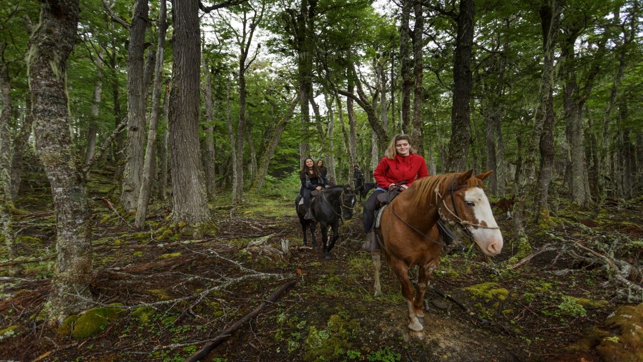 Horse Ride Through Lake Hidden (3)