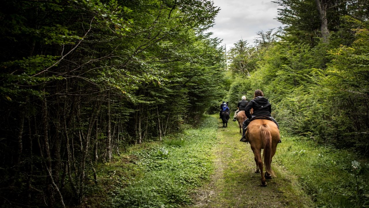 Horse Ride Through Lake Hidden (6)