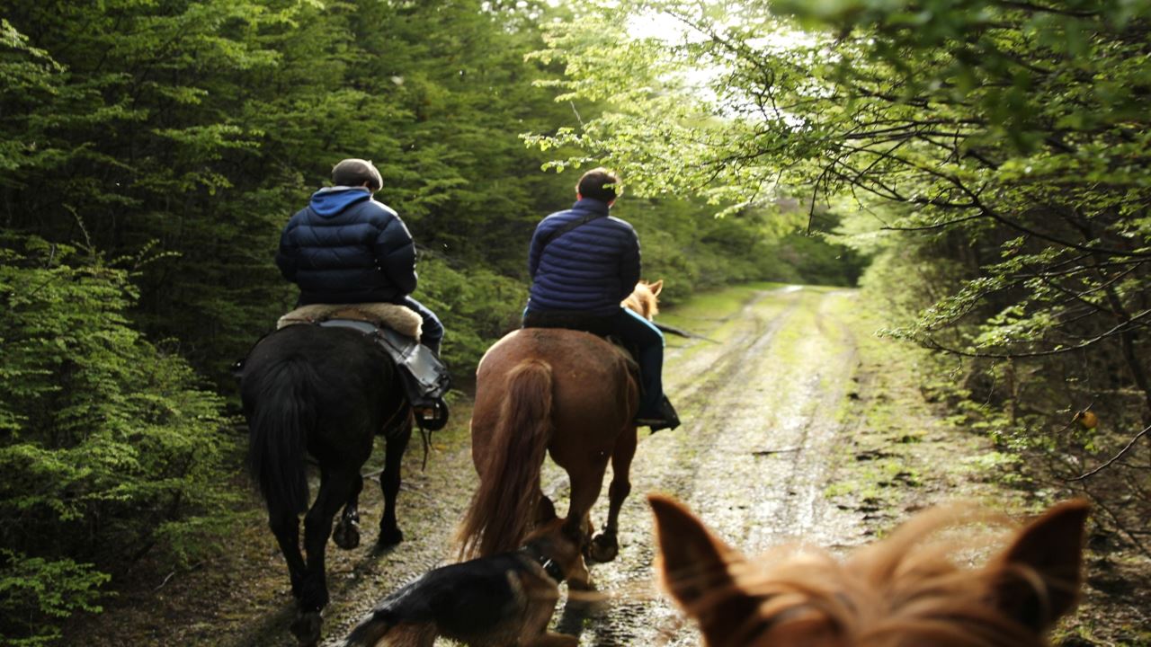 Horse Ride Through Lake Hidden (7)