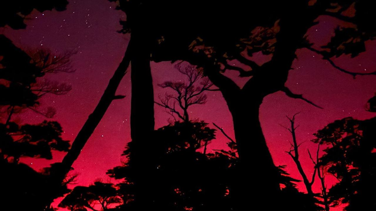 Night Hike to Monte Susana with Dinner foto 7