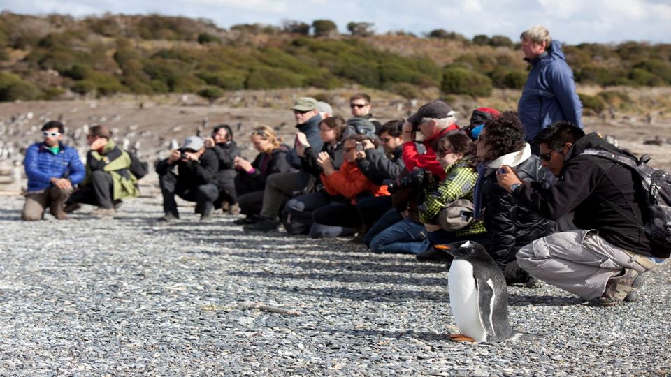 Walking With Penguins On Martillo Island
 foto 4