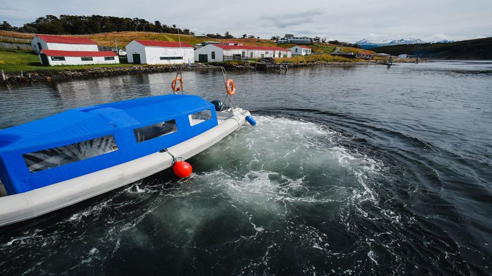 Walking With Penguins On Martillo Island
 foto 5