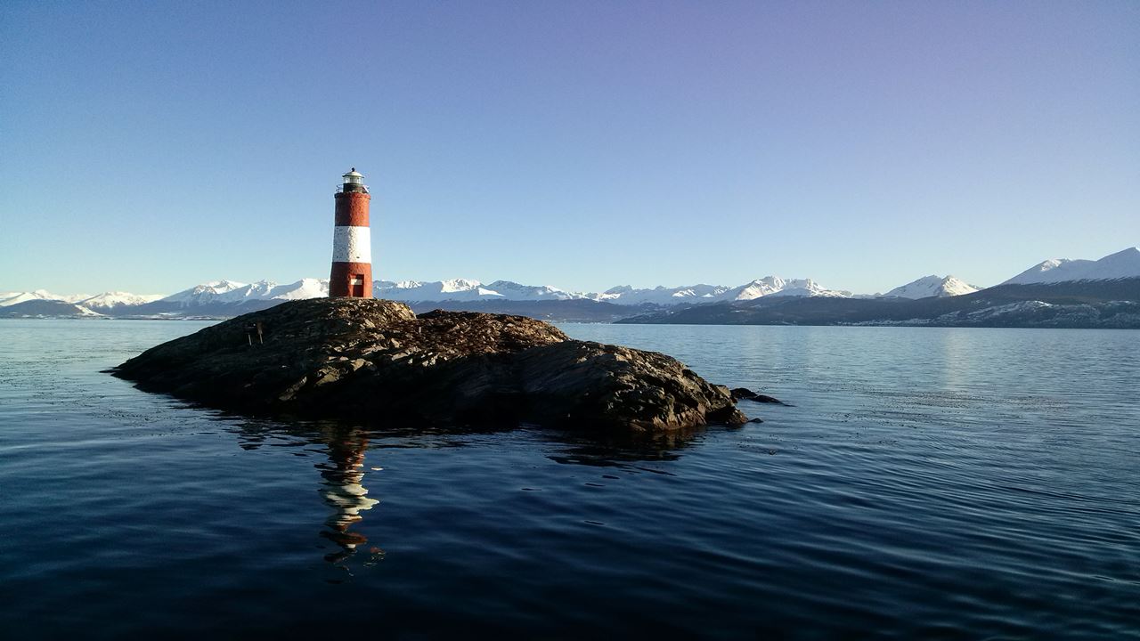 Excursão Privada Na Ilha Gable E Pinguinera (2)