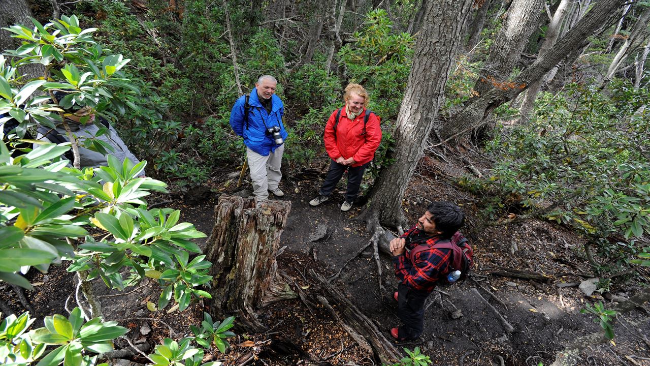 Private Excursion National Park With Trekking And Canoes (5)