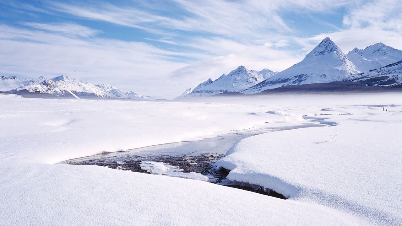 Experiencia Antártica: Motos de Nieve y Exposición "Exploradores Antárticos" foto 11