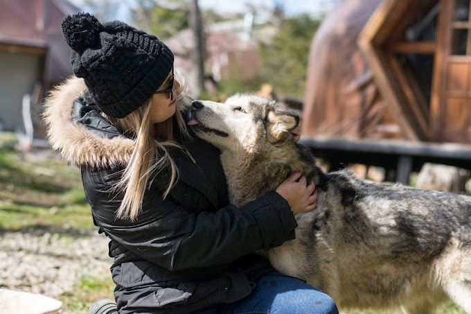 Experiência Husky foto 4