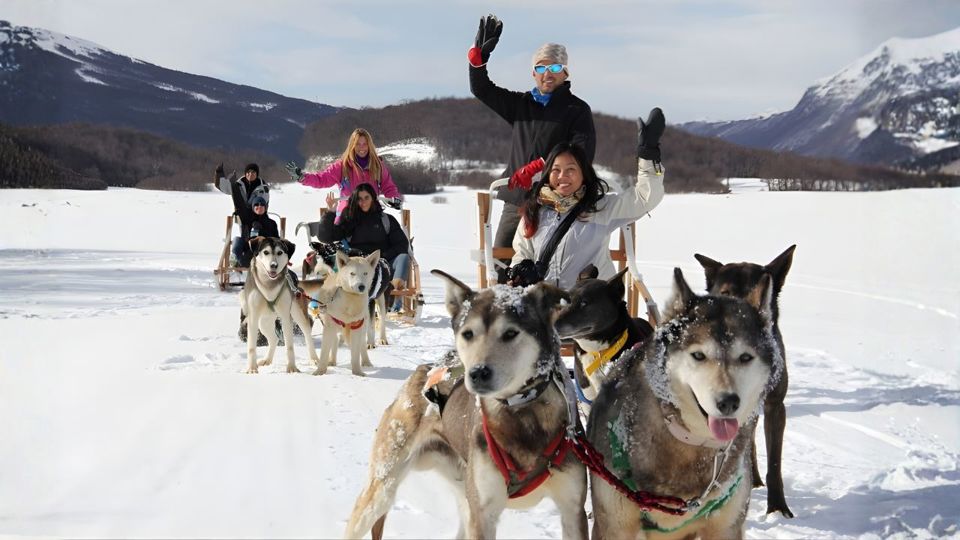 Husky Experience foto 10