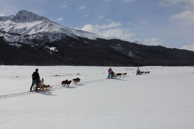 Husky Experience foto 9