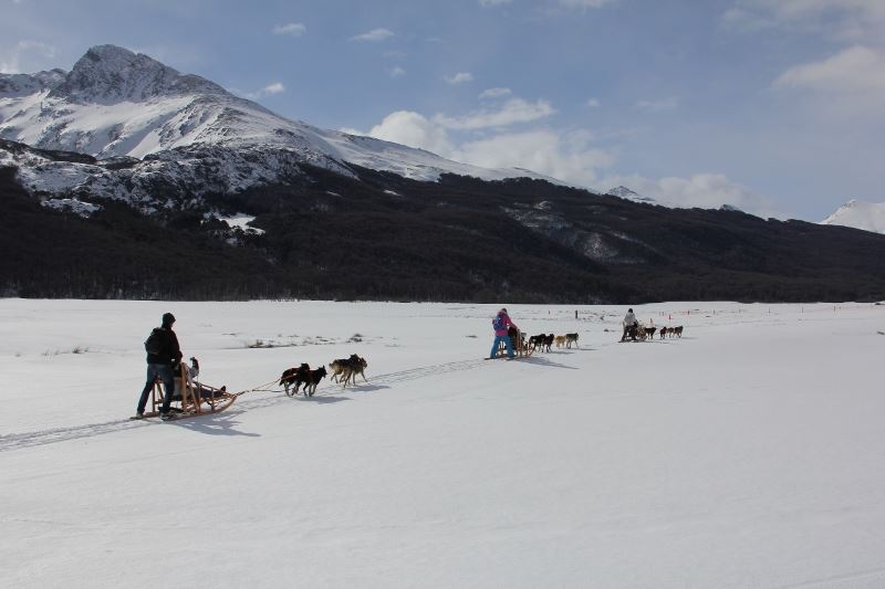 Experiência Husky foto 9