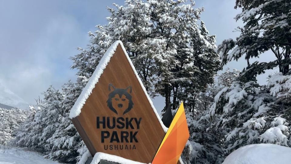 Full-day Winter Experience With Huskies, Snowshoes, And Snowmobile foto 4