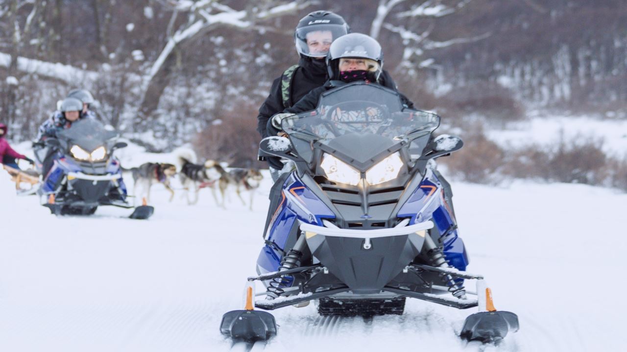 Experiência De Inverno De Dia Inteiro Com Huskies, Raquetes De Neve E Moto De Neve foto 3
