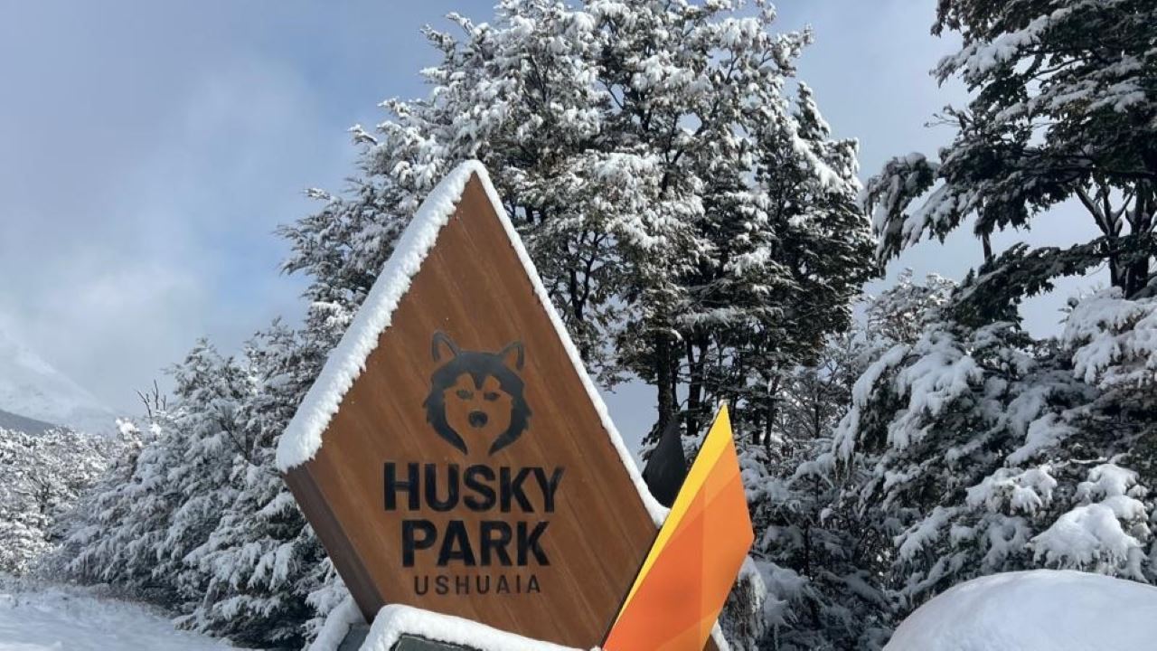 Full-day Winter Experience With Huskies, Snowshoes, And Snowmobile (3)