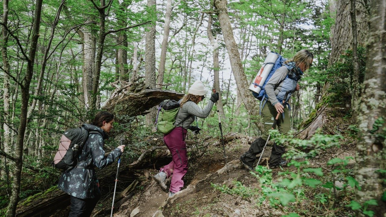 Ice Trekking pelo Glaciar Martial até Laguna de los Témpanos foto 12