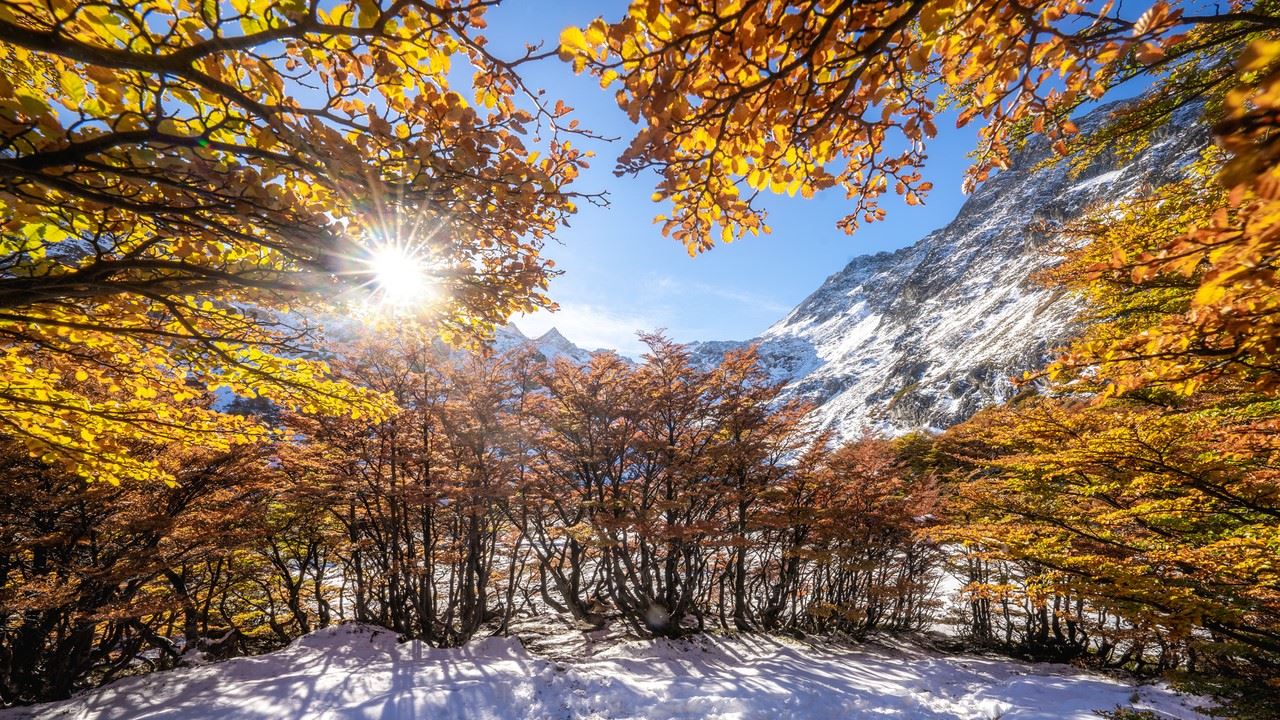 Ice Trekking pelo Glaciar Martial até Laguna de los Témpanos foto 10