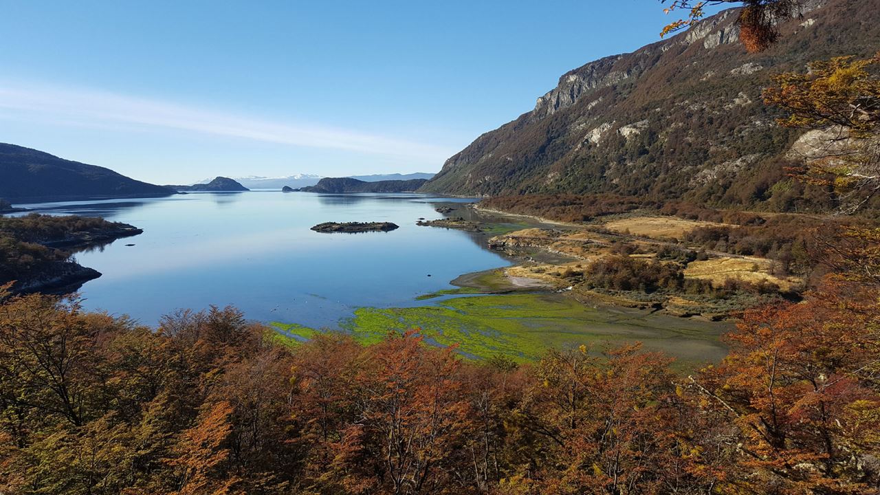 Isla Gable Y Avistaje De Pinguinos (4)