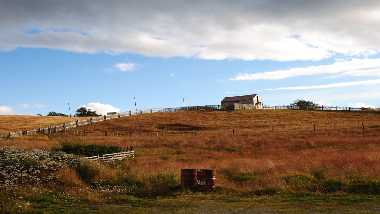 Isla Gable Y Avistaje De Pinguinos (2)
