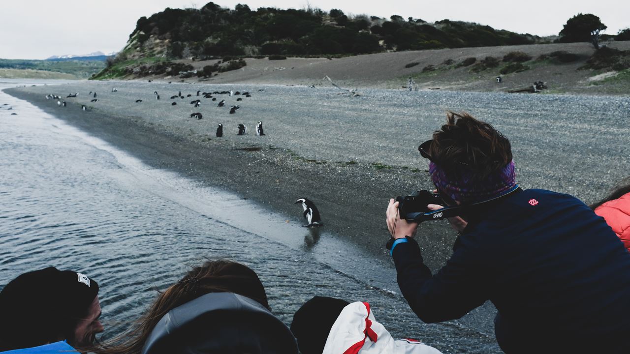 Isla Gable e Pinguinera em Privado foto 6