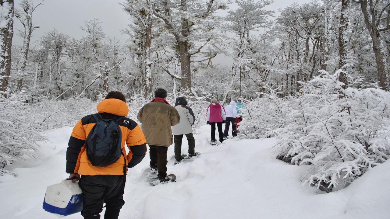 Llanos del Castor: Caminhada com Raquetes, Trenó e 4x4 foto 2