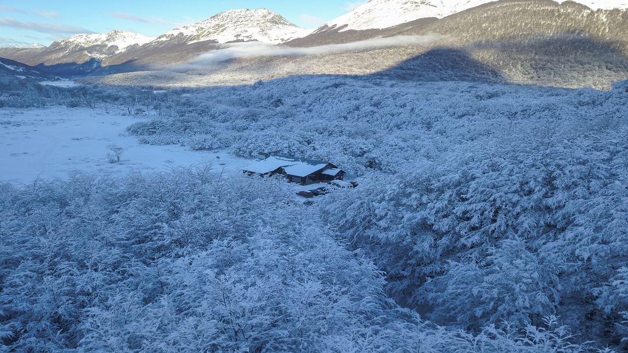 Llanos del Castor: Caminhada com Raquetes, Trenó e 4x4 foto 3