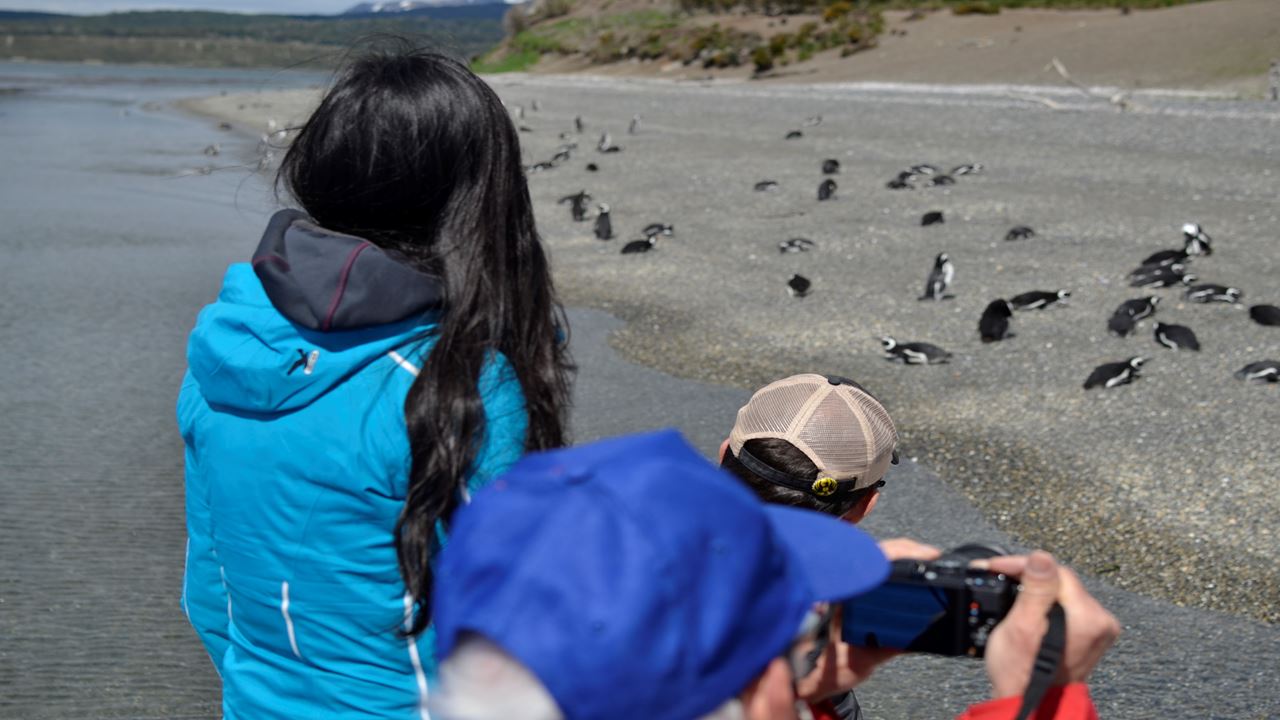 Navegação até Isla Gable e Pinguinera Isla Martillo foto 7