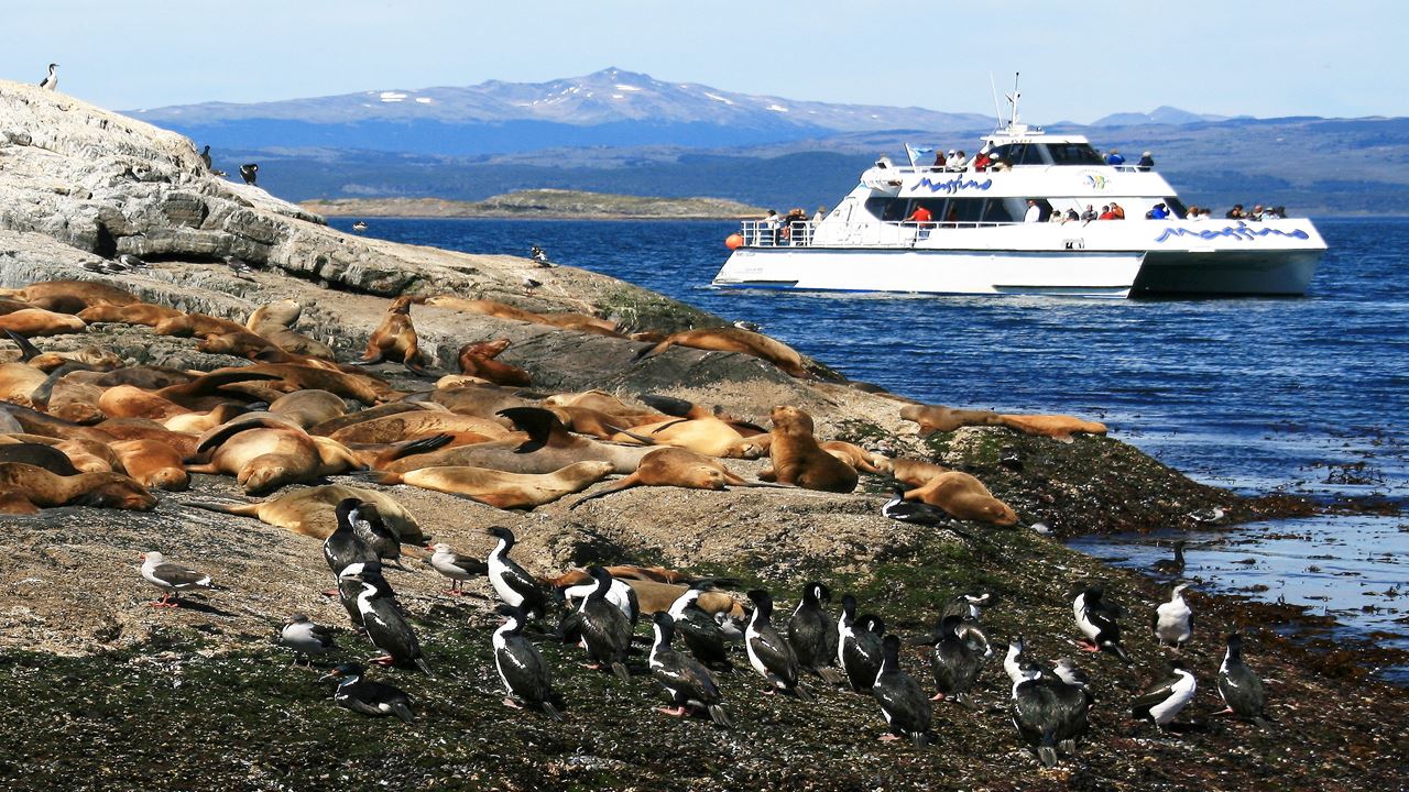 Canal De Navegação Beagle E Ilha Do Lobo (1)
