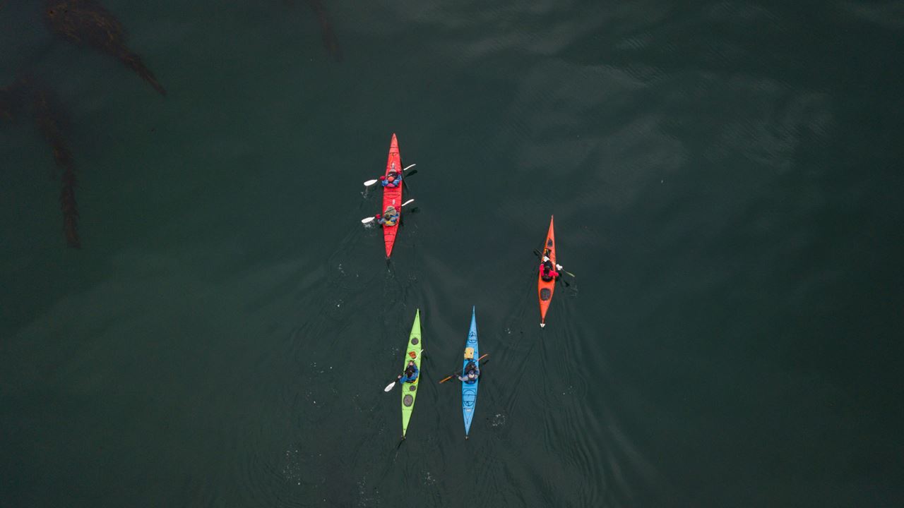 Beagle Channel Kayaking foto 6