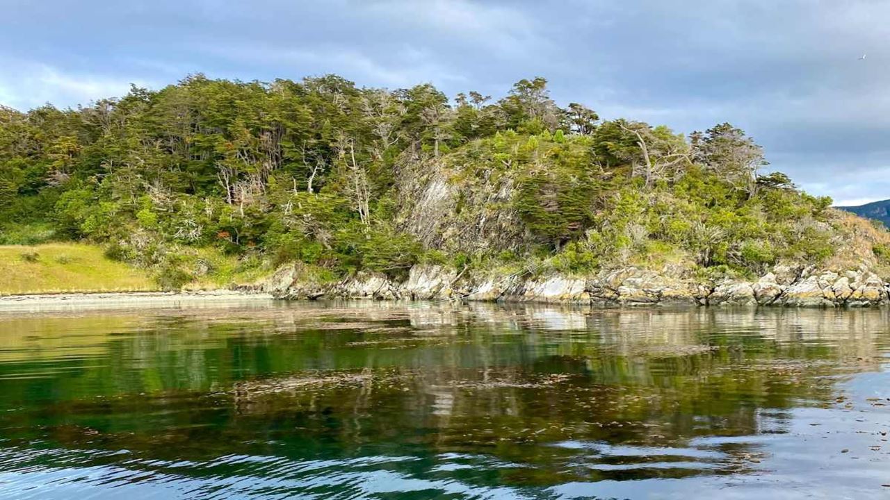 Beagle Channel Navigation to Isla Redonda foto 12