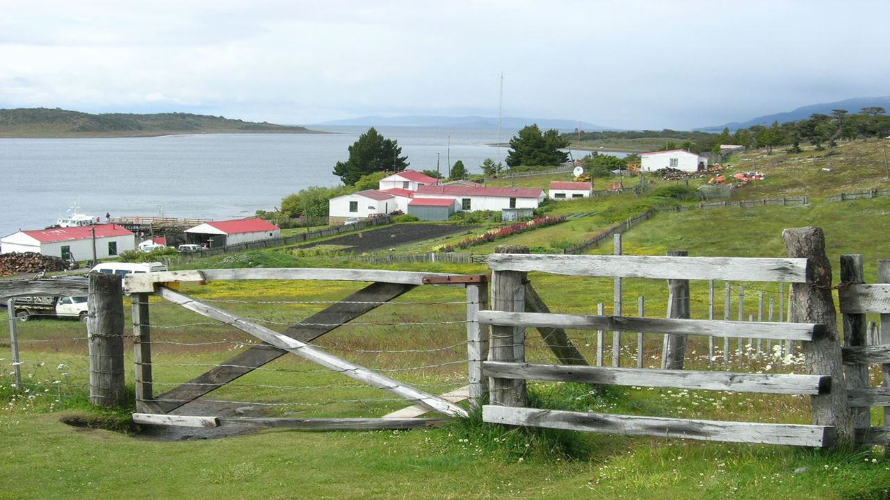 Navegação Pelo Canal Beagle E Caminhada Com Pinguins Na Ilha Martillo
 (8)