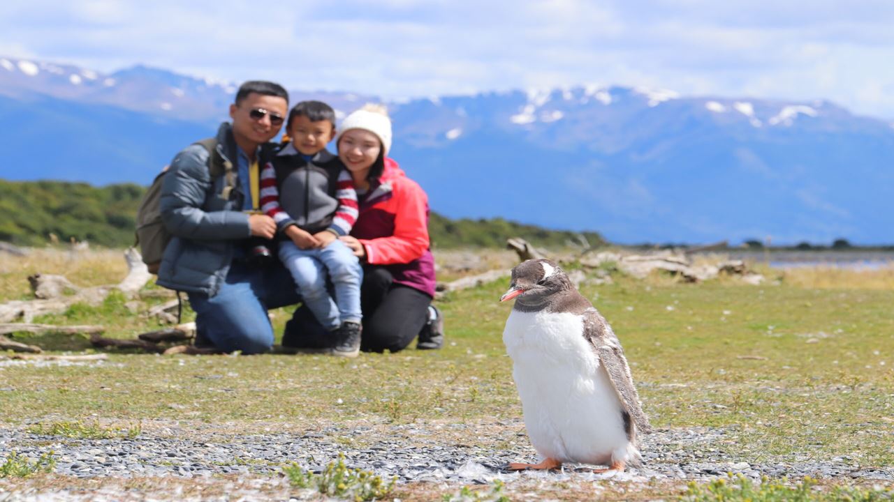 Navegación Canal de Beagle Y Caminata con Pingüinos en Isla Martillo   foto 1