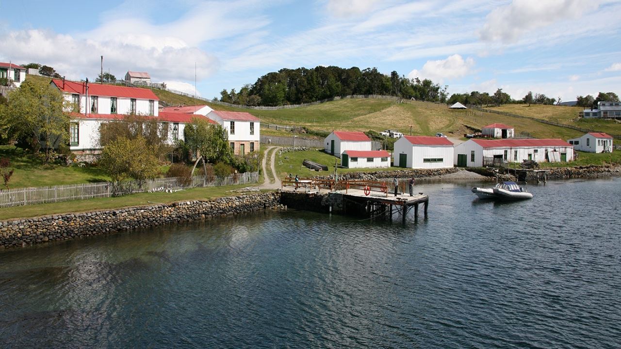 Navegação Pelo Canal Beagle E Caminhada Com Pinguins Na Ilha Martillo
 (9)