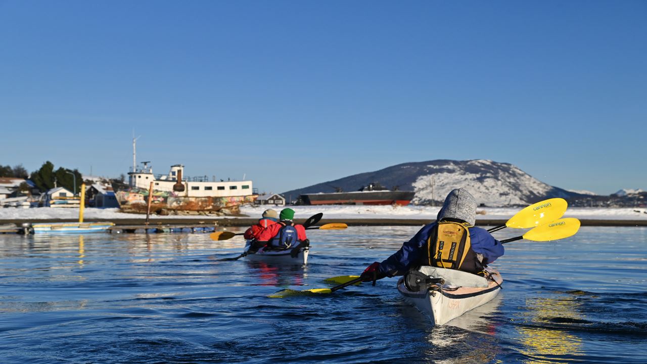 Navegação de Caiaque: da Baía de Ushuaia à Caleta Aspirante foto 6