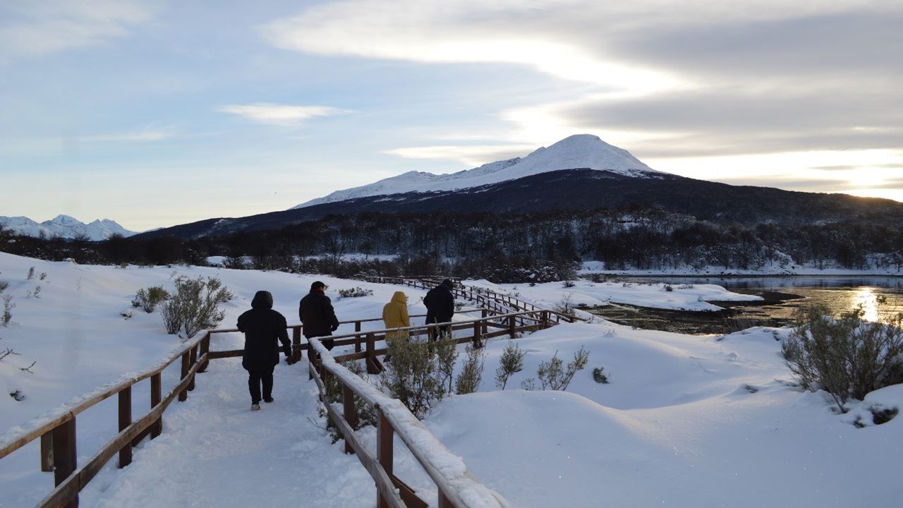 Parque Nacional Tierra Del Fuego Con Opcional Tren Del Fin Del Mundo (4)