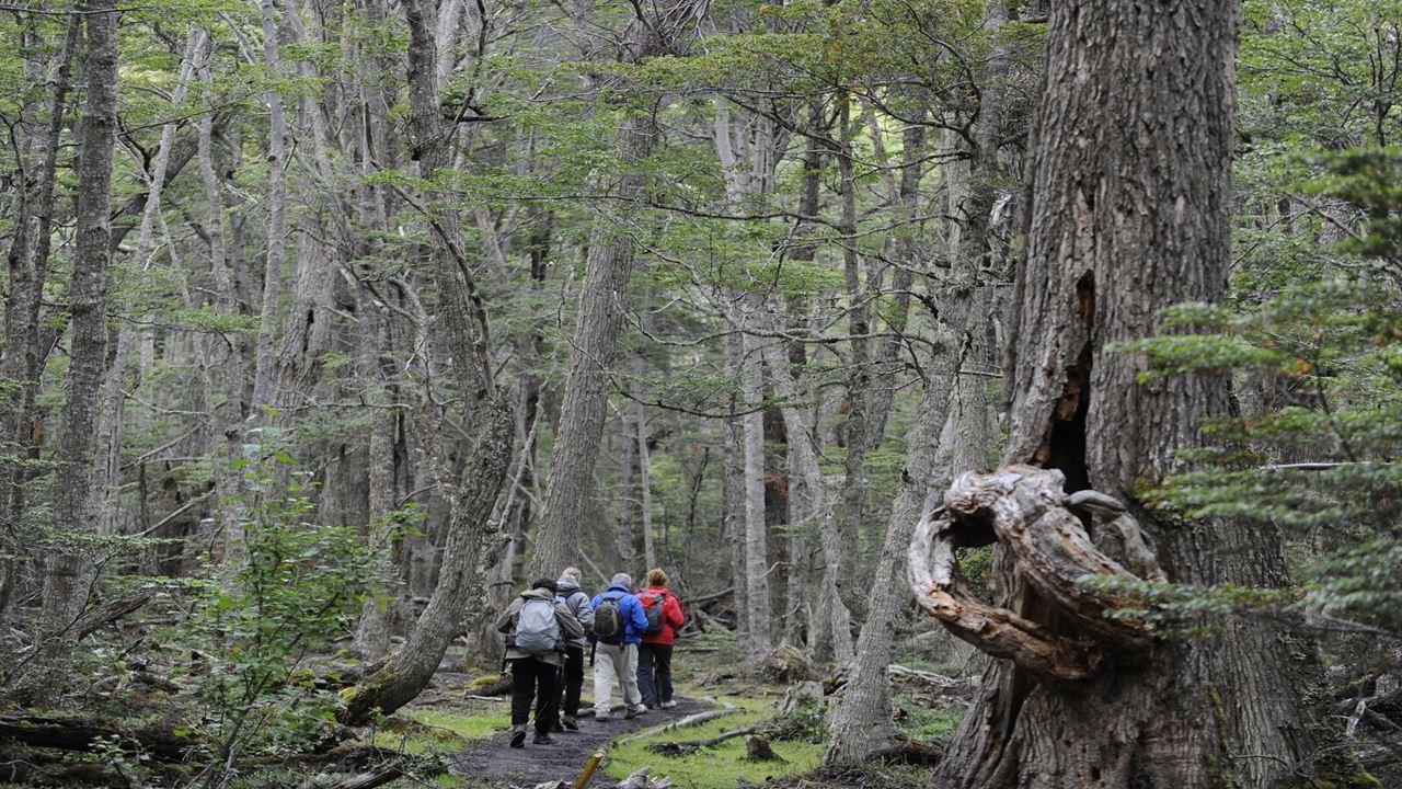 Parque Nacional Tierra del Fuego Privado com Almoço foto 4