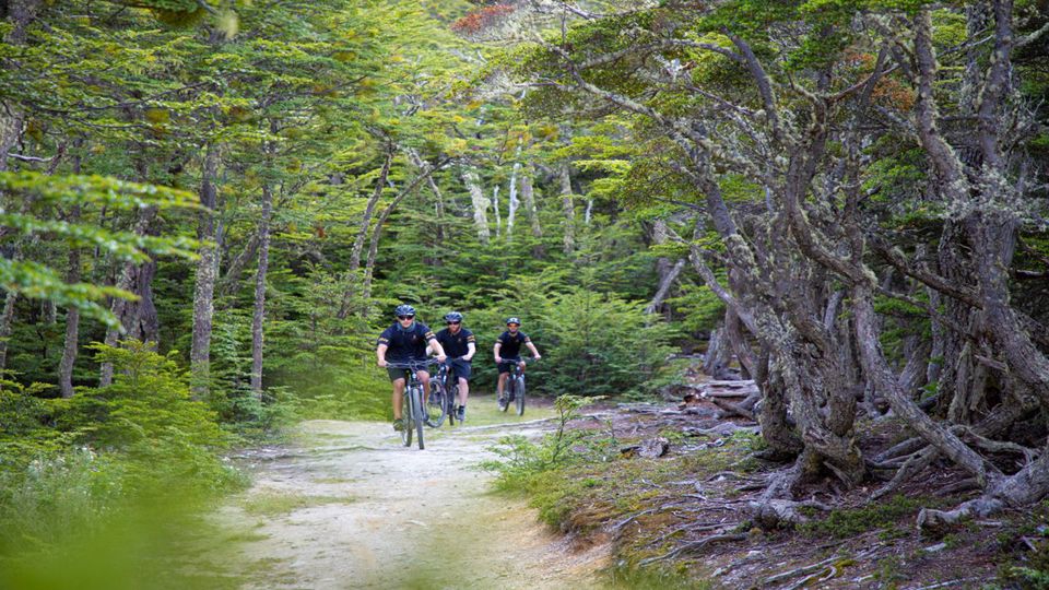 Electric Bike Tour Beagle View Point foto 7