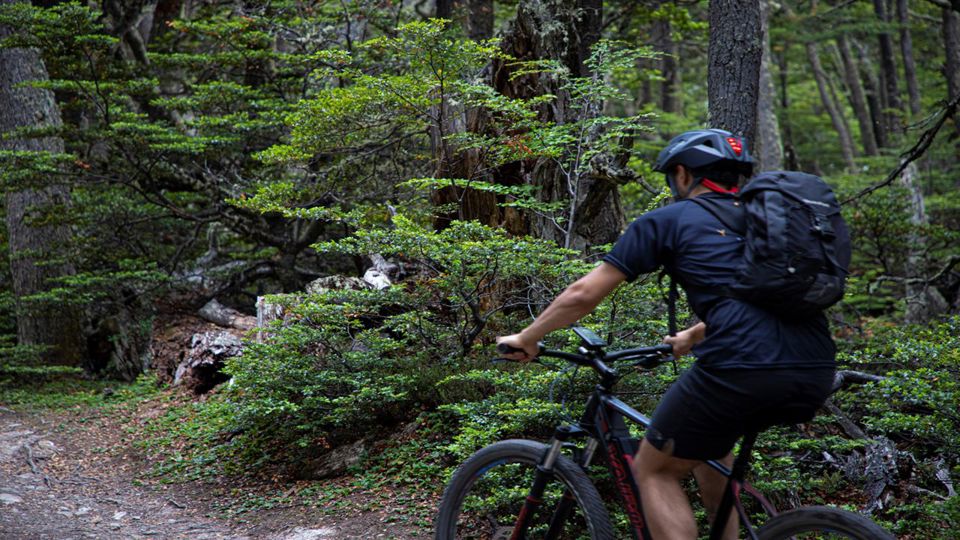 Electric Bike Tour Beagle View Point foto 5