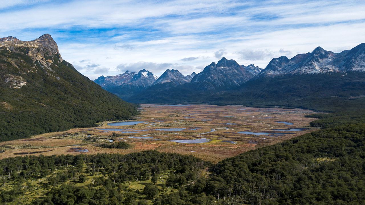 Promo : Transferts Vers L`aéroport, Le Parc National Et Les Lacs De Fueguino foto 3