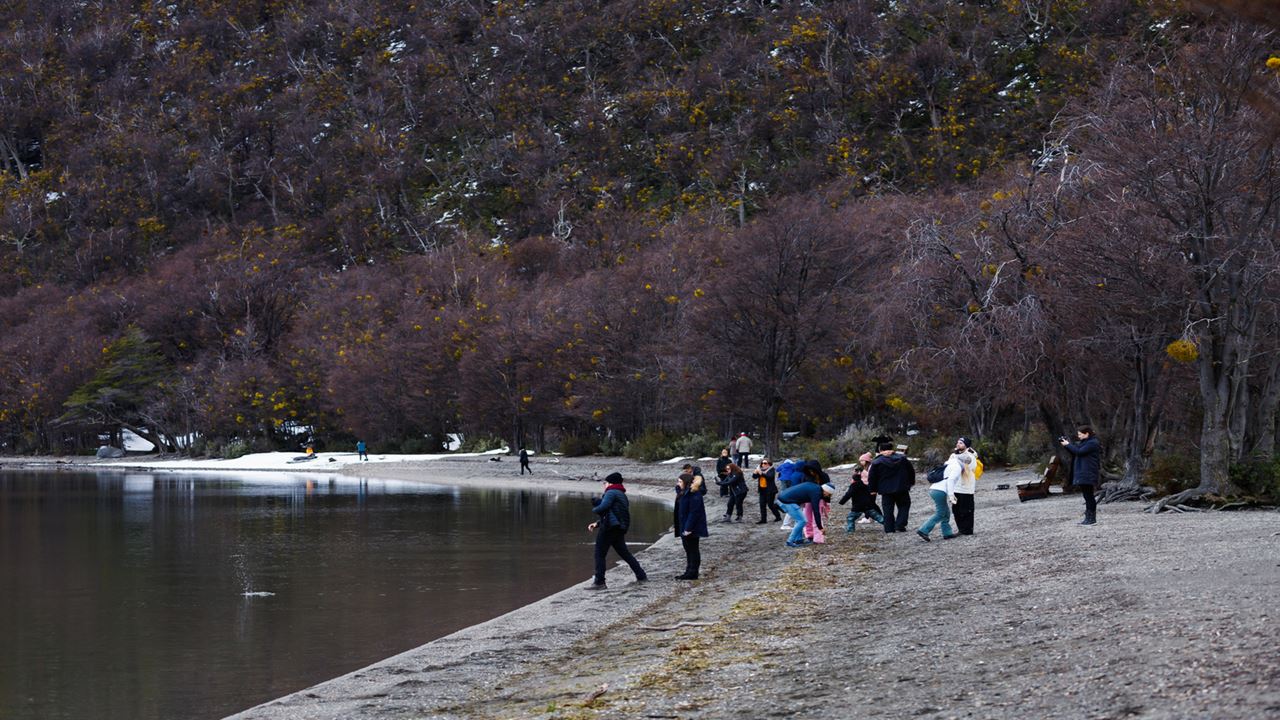 Promo : Transferts Vers L`aéroport, Le Parc National Et Les Lacs De Fueguino foto 10