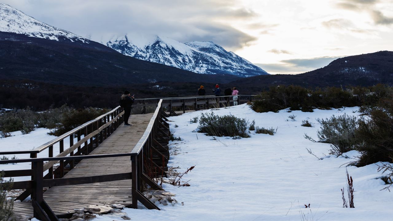Promo : Transferts Vers L`aéroport, Le Parc National Et Les Lacs De Fueguino foto 4