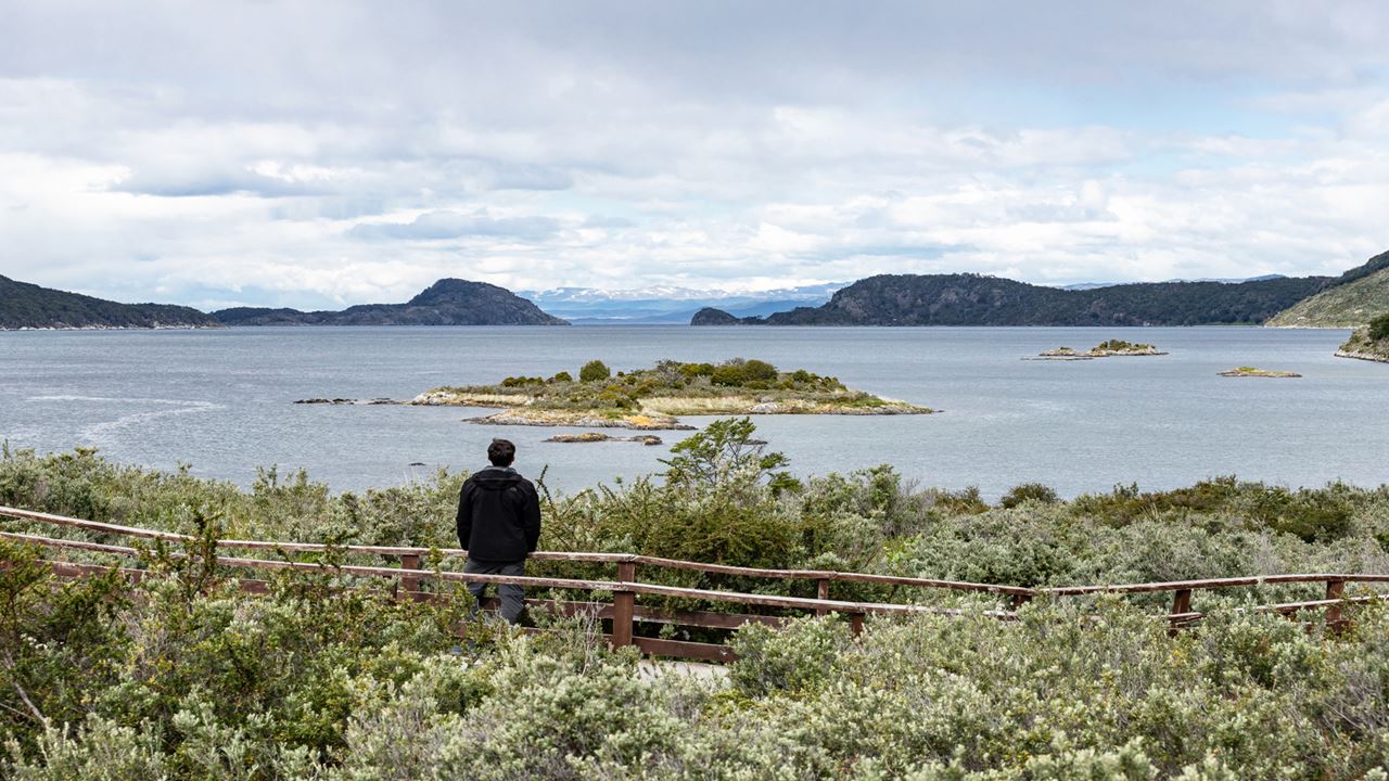 Promo : Transferts Vers L`aéroport, Le Parc National Et Les Lacs De Fueguino foto 2